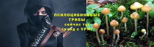 каннабис Алзамай