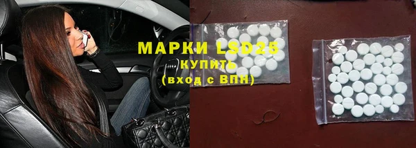 ПСИЛОЦИБИНОВЫЕ ГРИБЫ Алексеевка