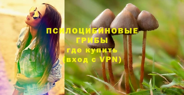 ПСИЛОЦИБИНОВЫЕ ГРИБЫ Алексеевка
