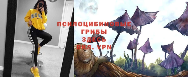 синтетический гашиш Абинск
