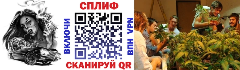 Канабис ГИДРОПОН Ак-Довурак