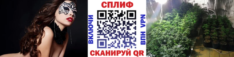 Шишки марихуана тримм  Ак-Довурак 